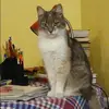 Отзыв от Анфиса Белова